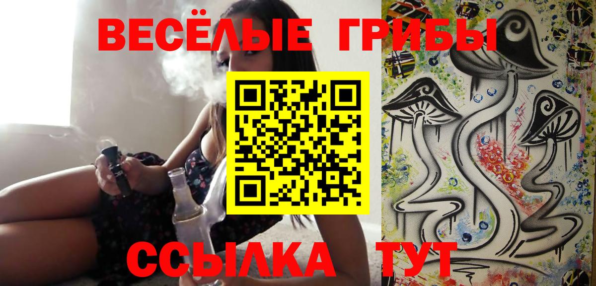 Псилоцибиновые грибы Cubensis  Вход с VPN  Псилоцибиновые грибы MAGIC MUSHROOMS  Нальчик 