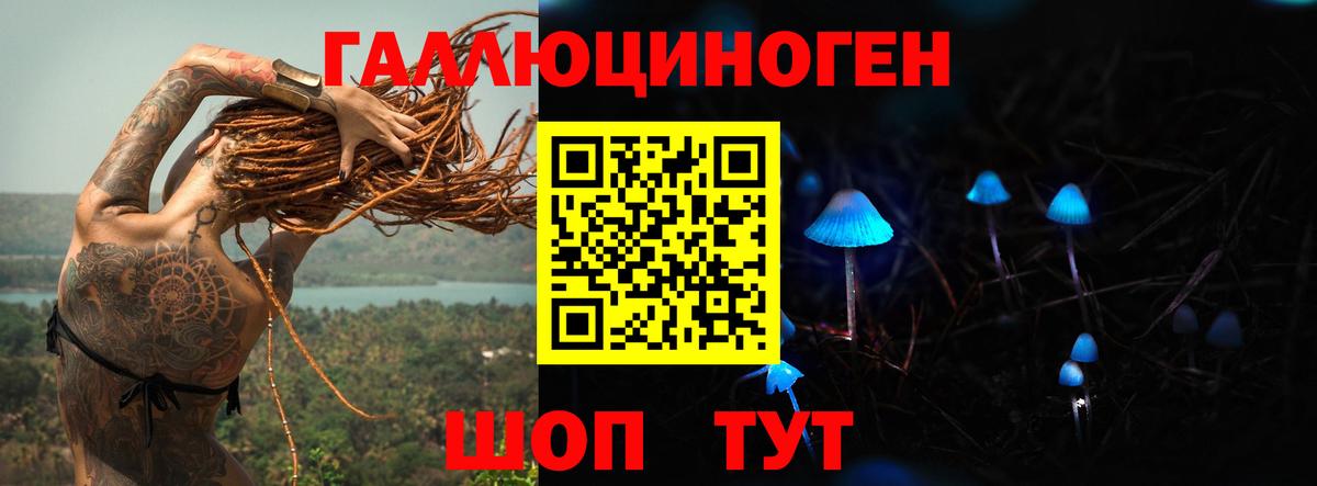 Псилоцибиновые грибы прущие грибы Нальчик